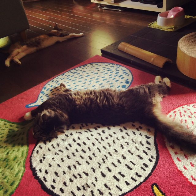 体重ログ