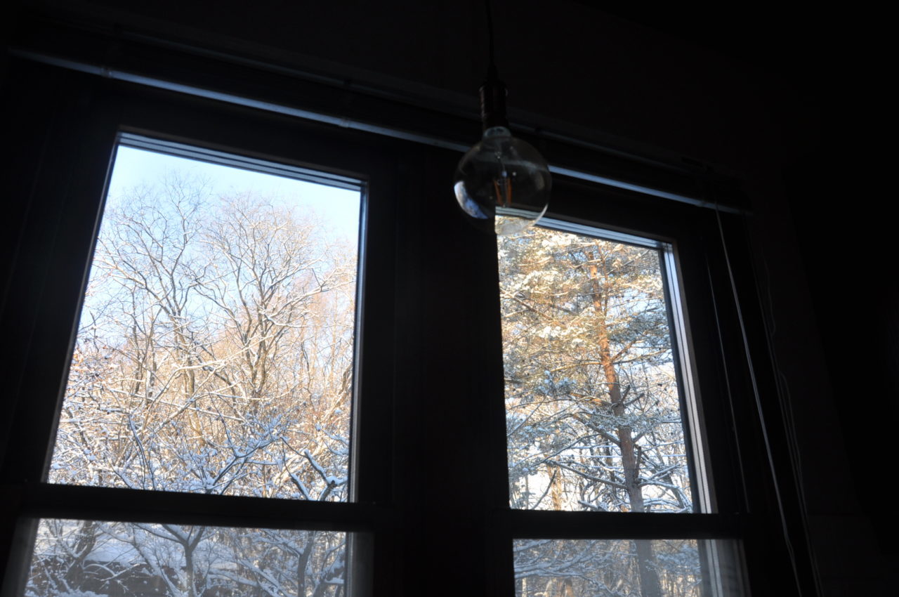 会わないのに会議