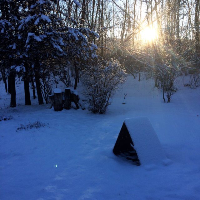 ゆうちょダイレクトにログインできなかった話