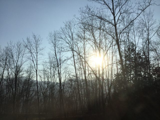 クッションの順番待ち