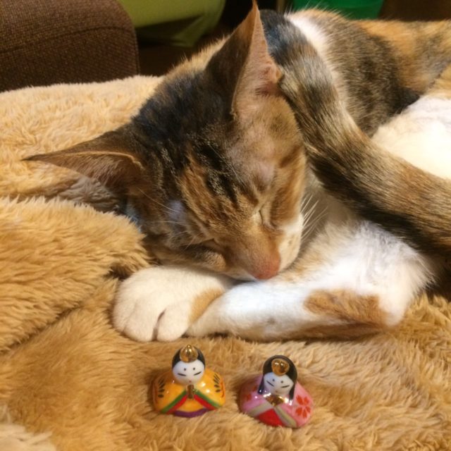 ひな祭りと雛人形