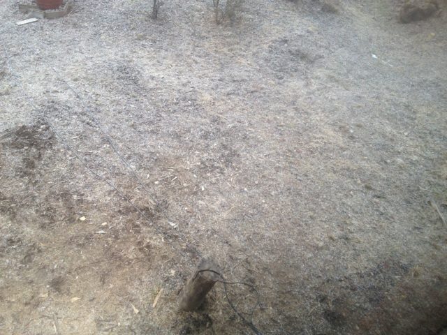 どっちが得か？