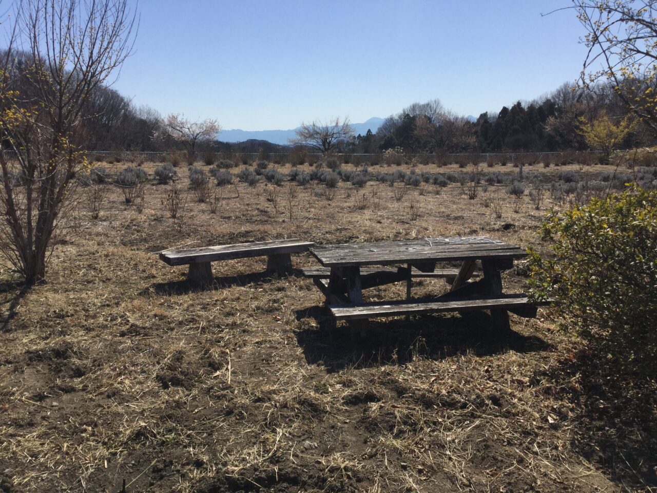 秋間梅林と碓氷峠