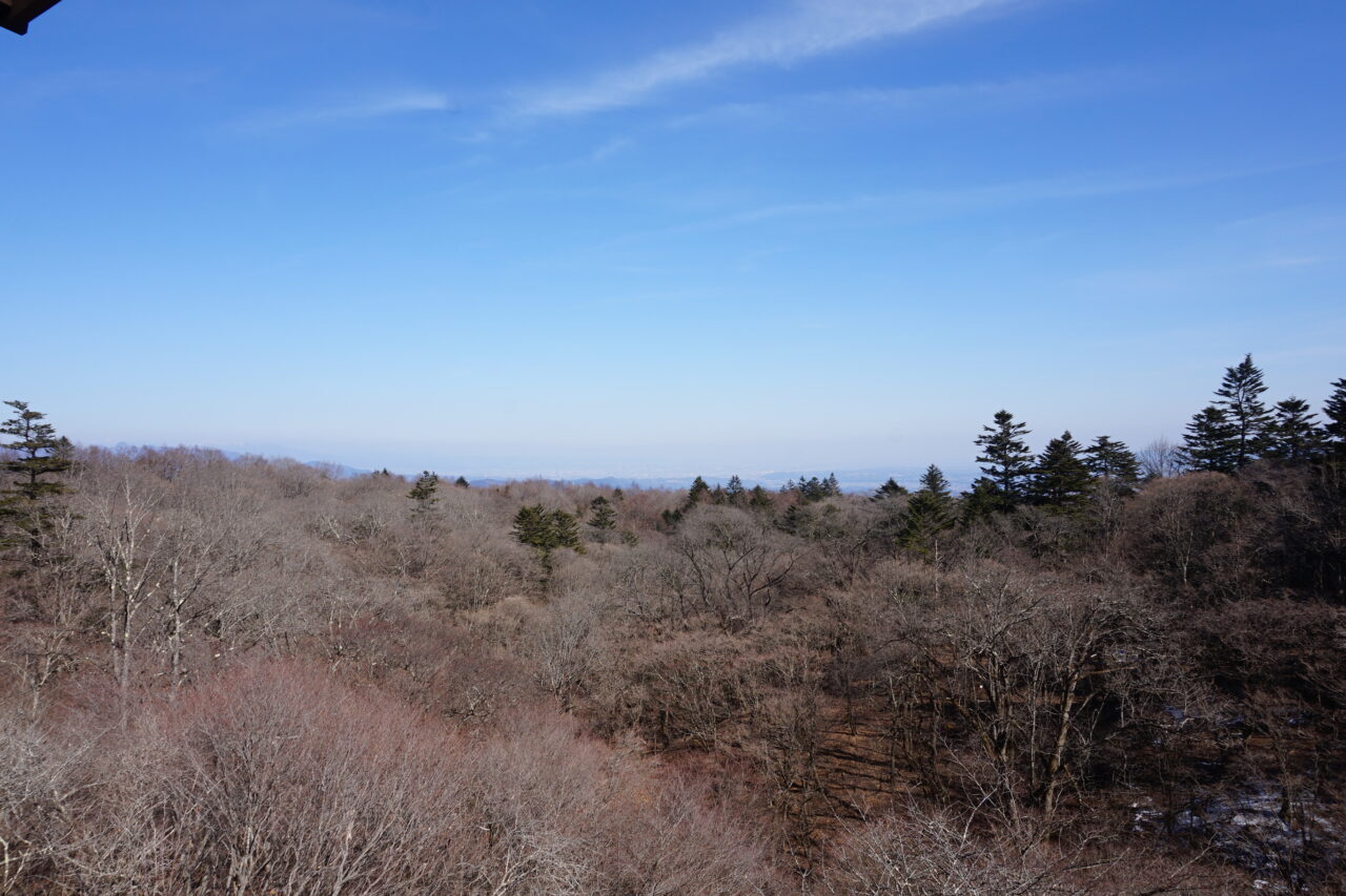 秋間梅林と碓氷峠