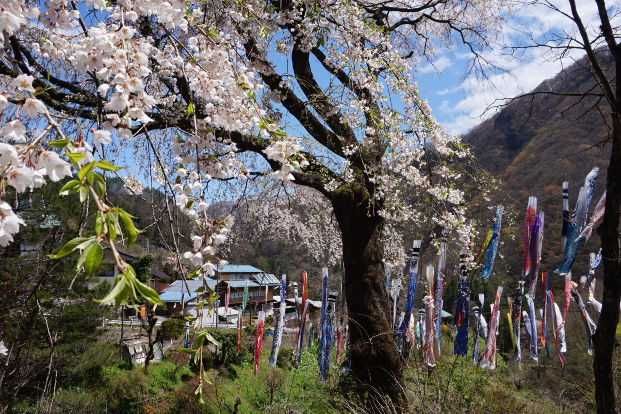 榛名神社・榛名湖・伊香保温泉の石段街・チャツボミゴケ公園