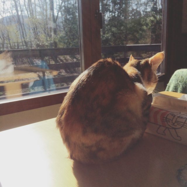 ホームセンタのスタッフ