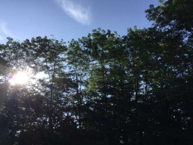既に寒い