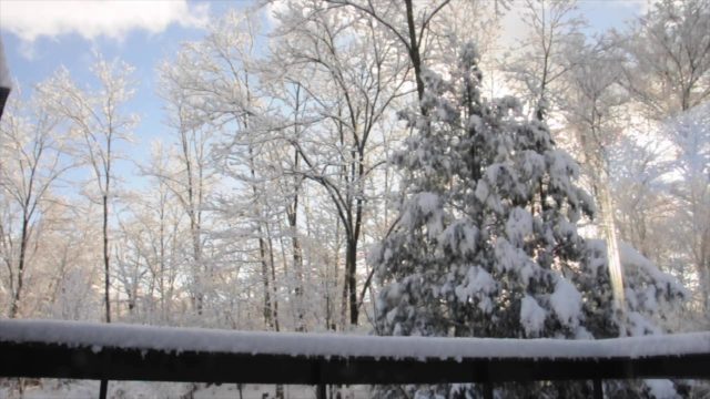 雪が降った夜の翌朝