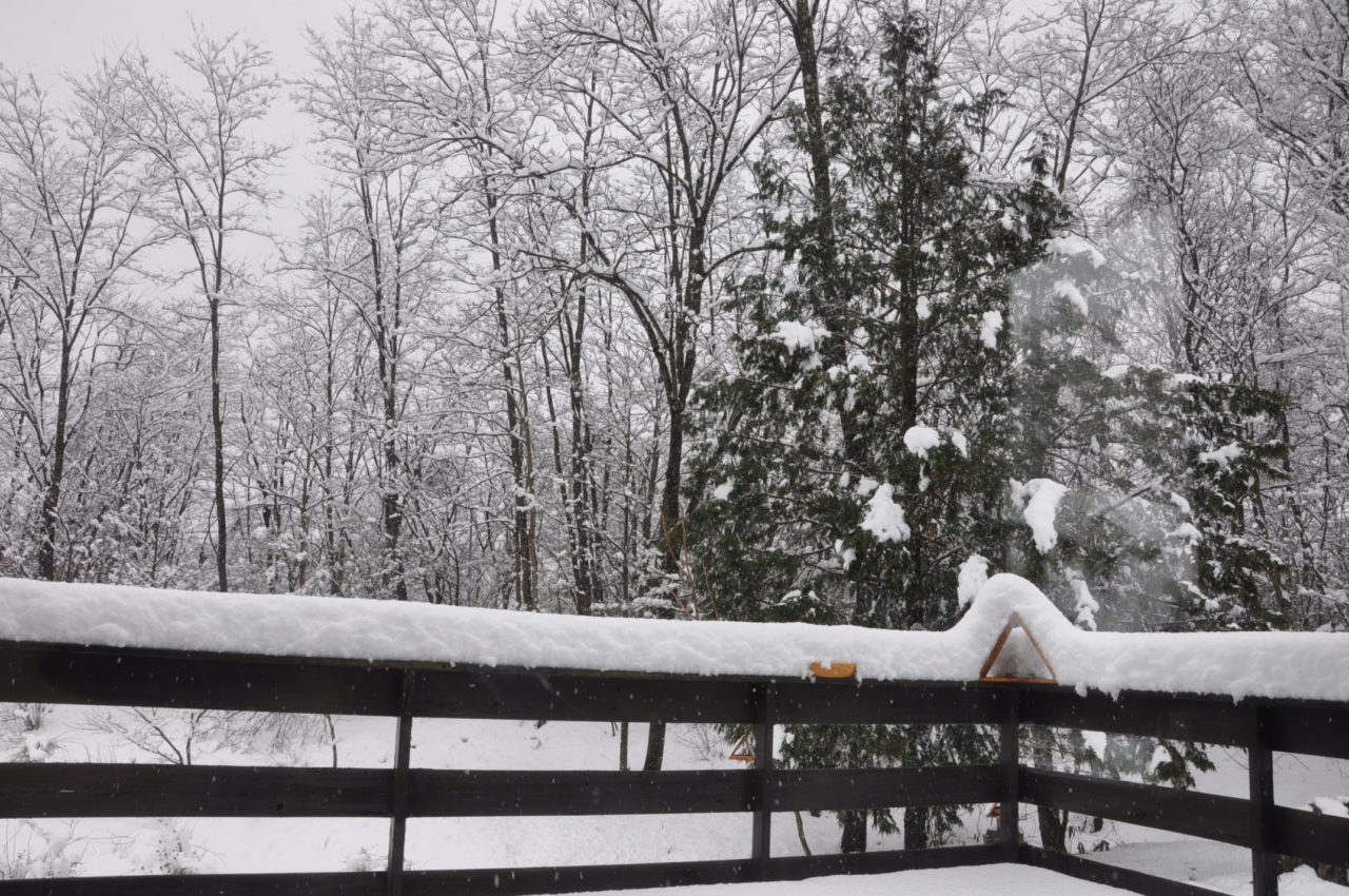 豪雪と停電のコンボ