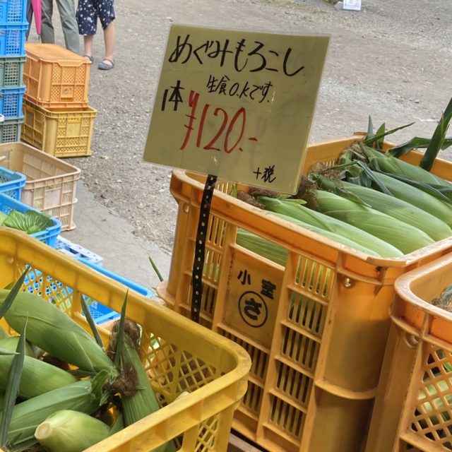 とうもろこし熱は冷めず