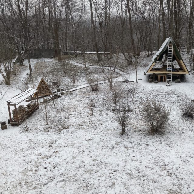 うっすら初雪