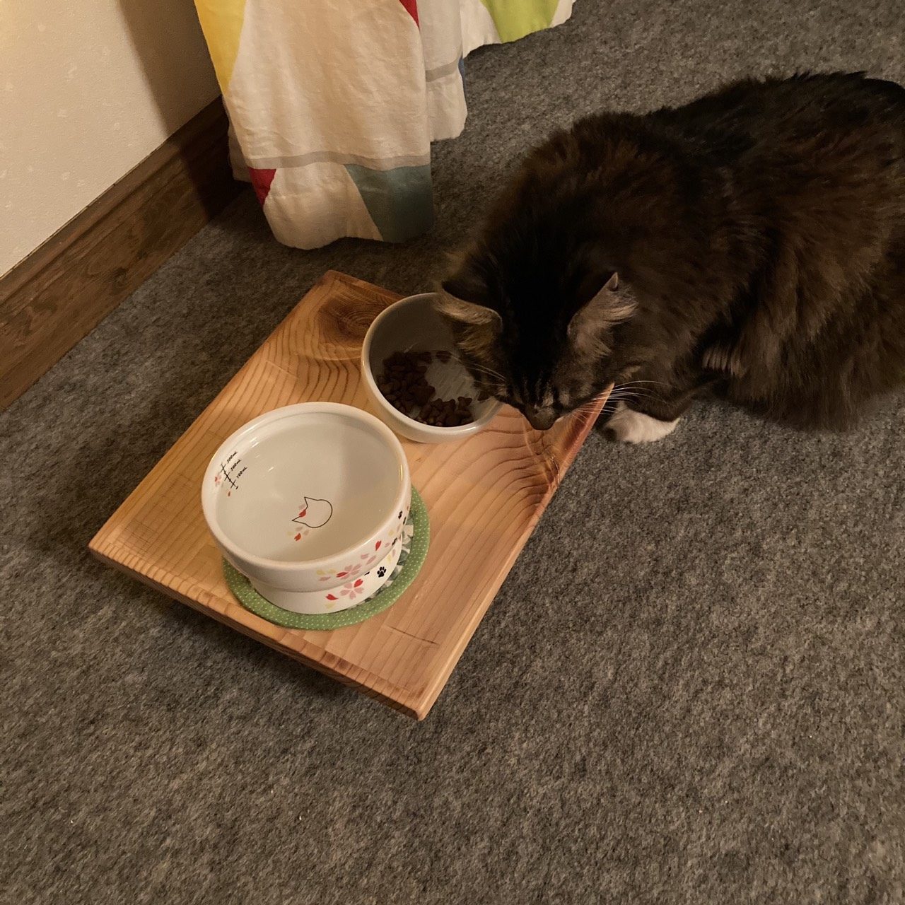 猫の食器トレイを自作