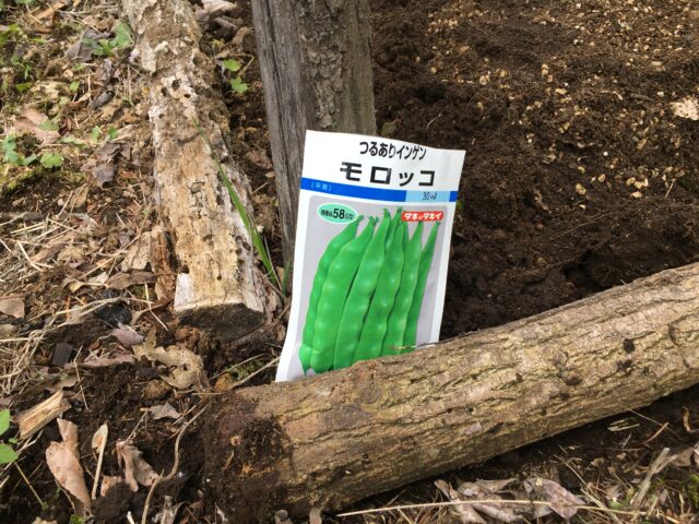 家庭菜園の記録（2021年）