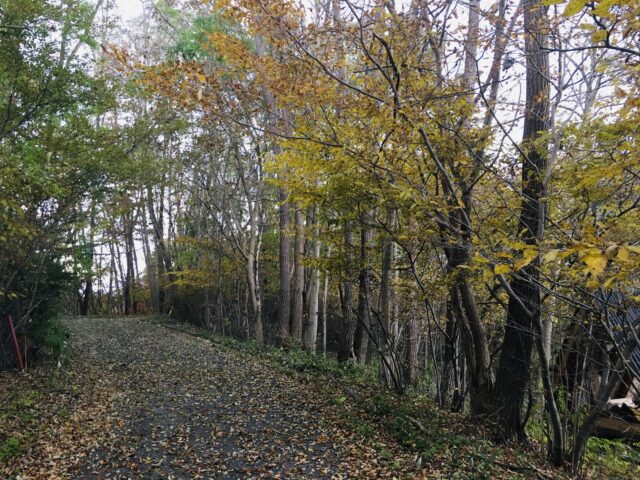 茨城からのゲスト