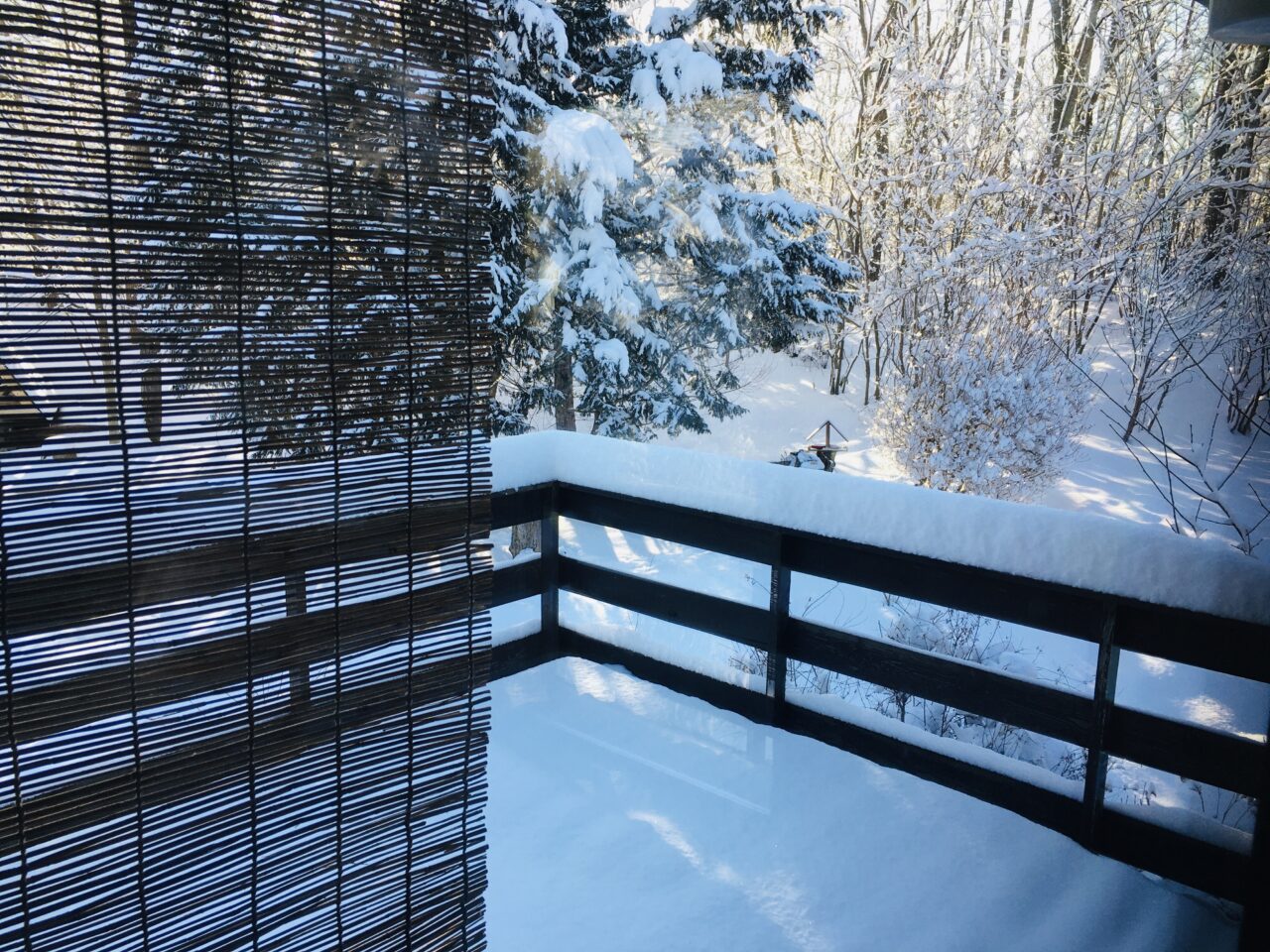 庭の雪景色を空撮
