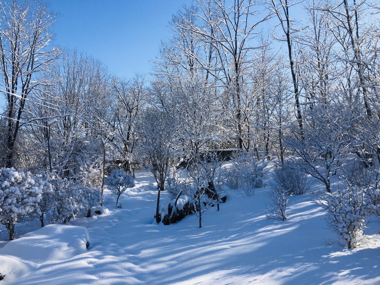 庭の雪景色を空撮