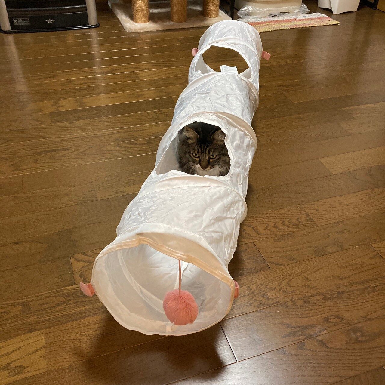 IKEAのキャットトンネル