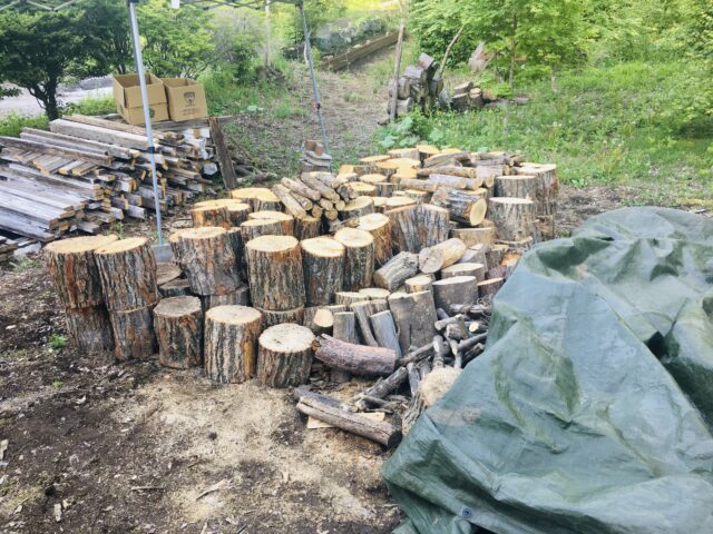 原木の玉切りが終了