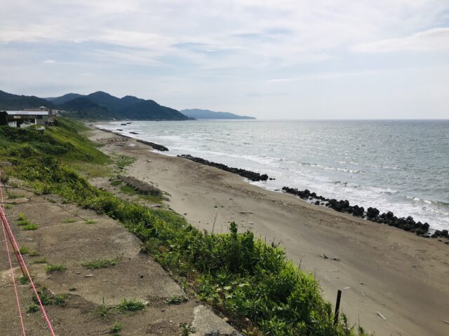 第5回マゼランペンギン クラフトフェスタ上越