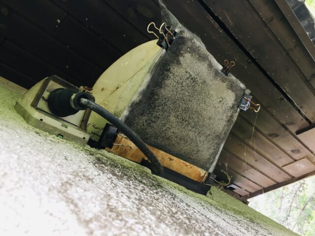 浴室換気扇の防虫網を撤去