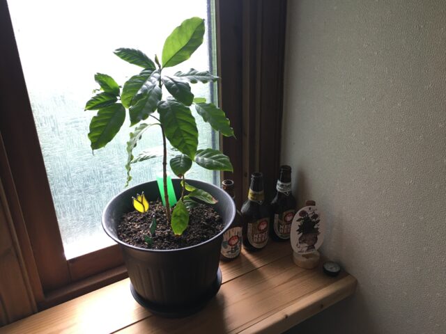 プラスチック製の植木鉢をターナーのアイアンペイントで塗装