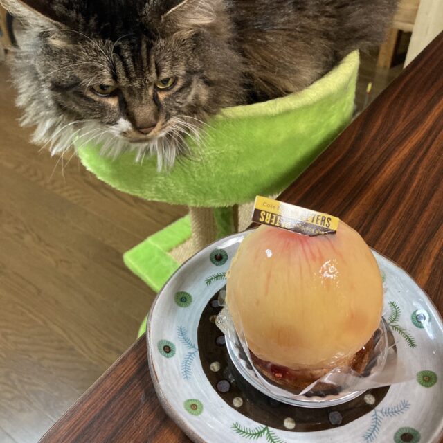 いただきものいろいろ