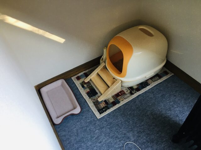 キャットトイレ用のステップ階段を自作
