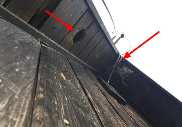 屋根のキツツキ穴の再修理