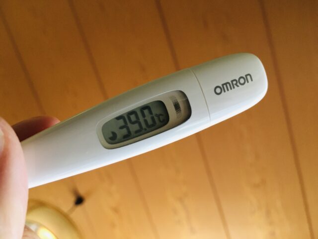 たぶんインフルエンザ