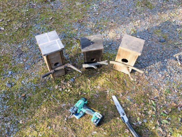 野鳥の巣箱の修理と再設置