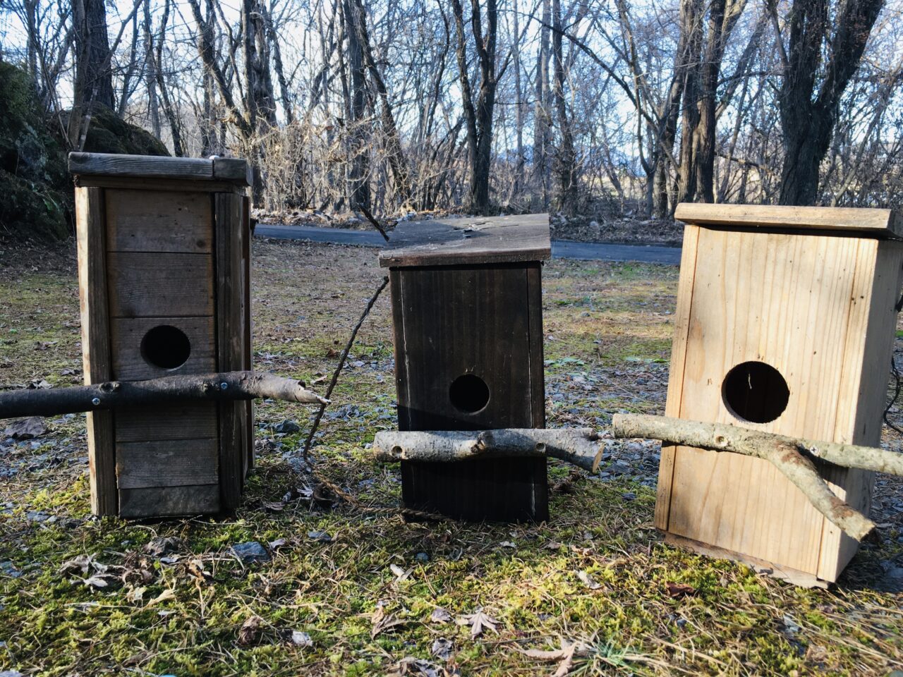 野鳥の巣箱の修理と再設置