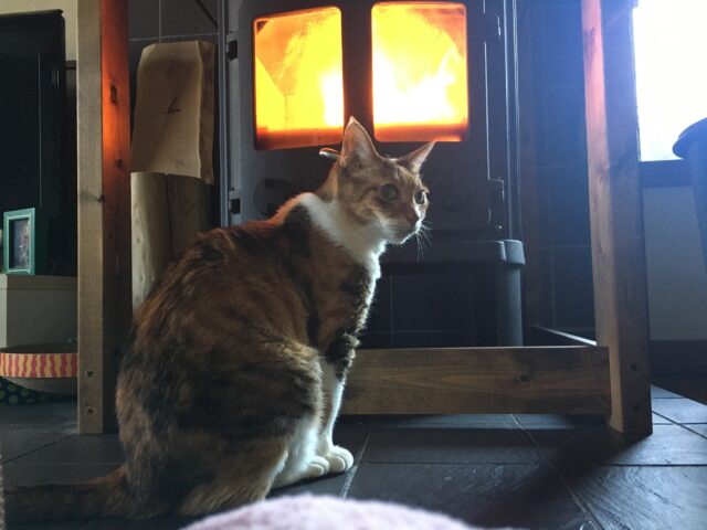 噴火でなく鎮火