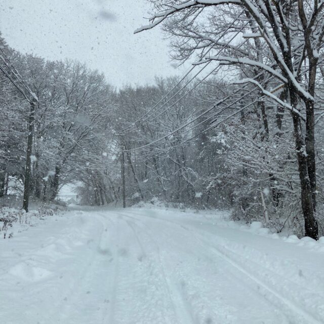 大雪のクリスマス