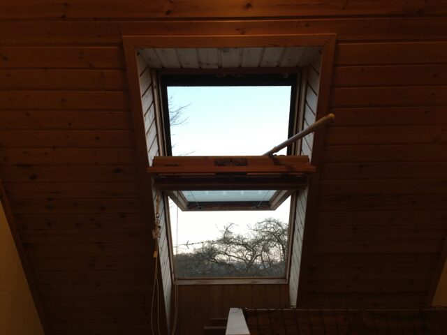 天窓拭きとぬいぐるみの漂白