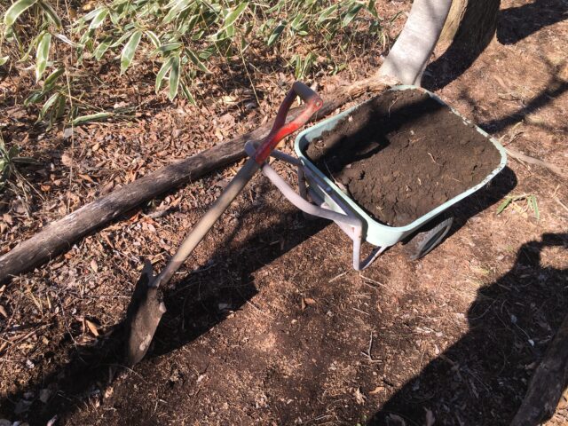 庭の遊歩道に盛土