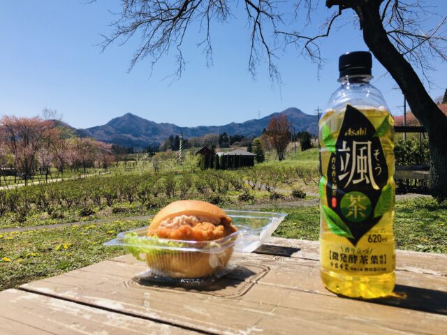 中之条ガーデンズ「花桃の丘まつり」