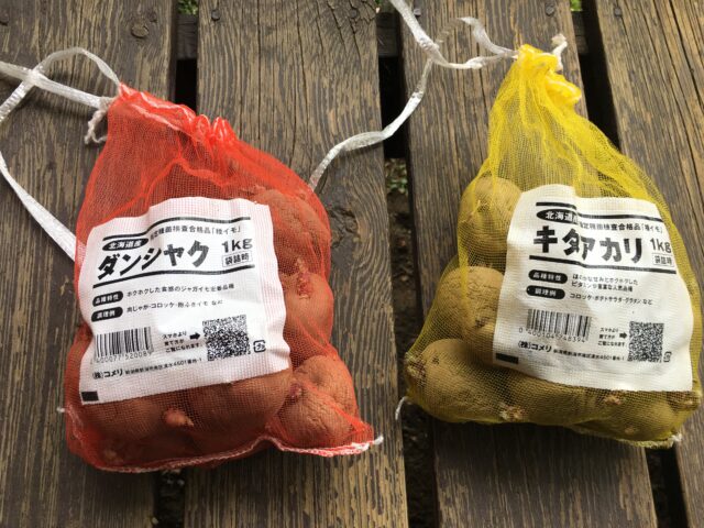 家庭菜園の記録（2023年）