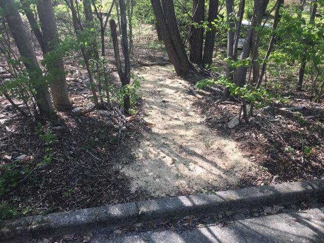 ウッドチップの代わりにチェンソーの木屑を敷き詰めた庭の小径