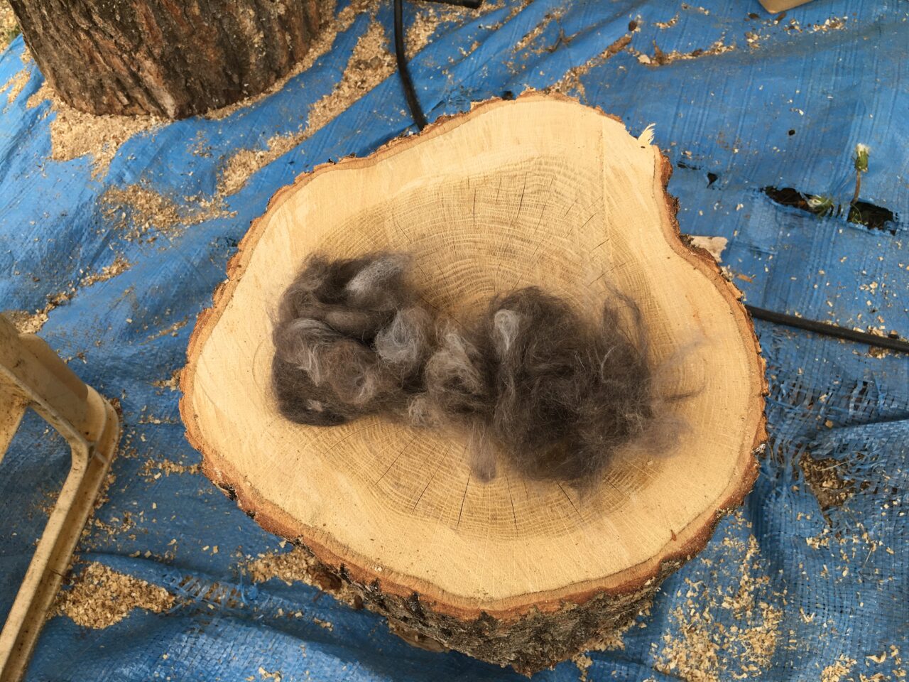 猫の抜け毛を野鳥の巣の材料として再利用するためのハンギングラック