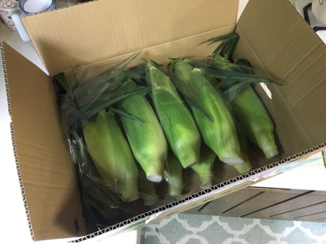 こばやし農園のトウモロコシ