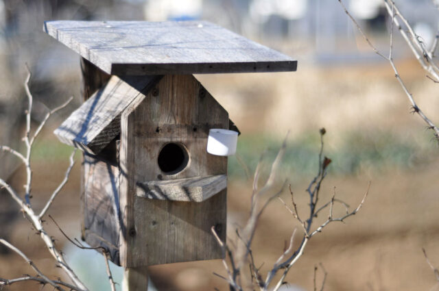 年越しジャンプ