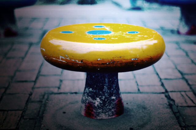 文京区〜新宿区〜千代田区