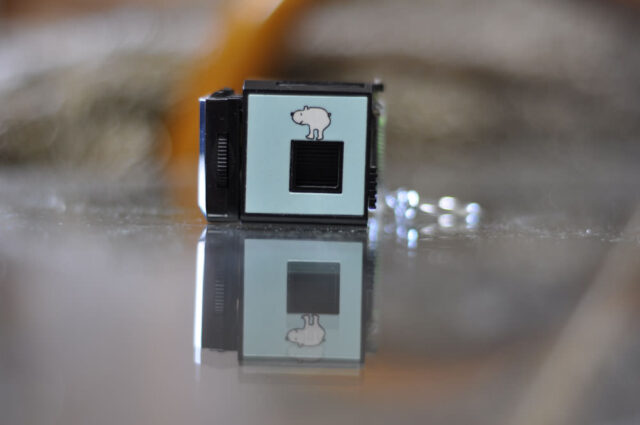 シロクマカメラ