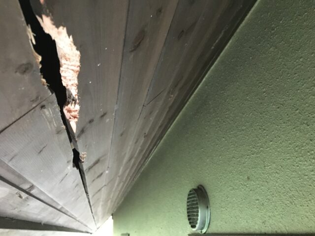 軒天のキツツキ穴を修理