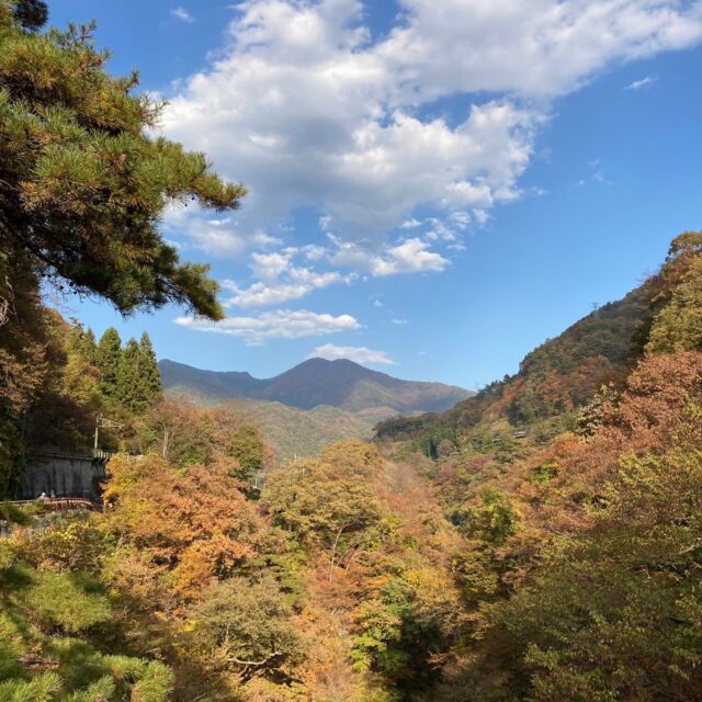 吾妻峡で紅葉狩り