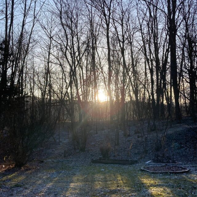 カウントダウン失敗