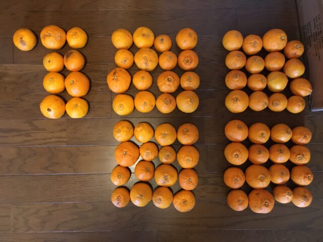 規格外品のでこぽん