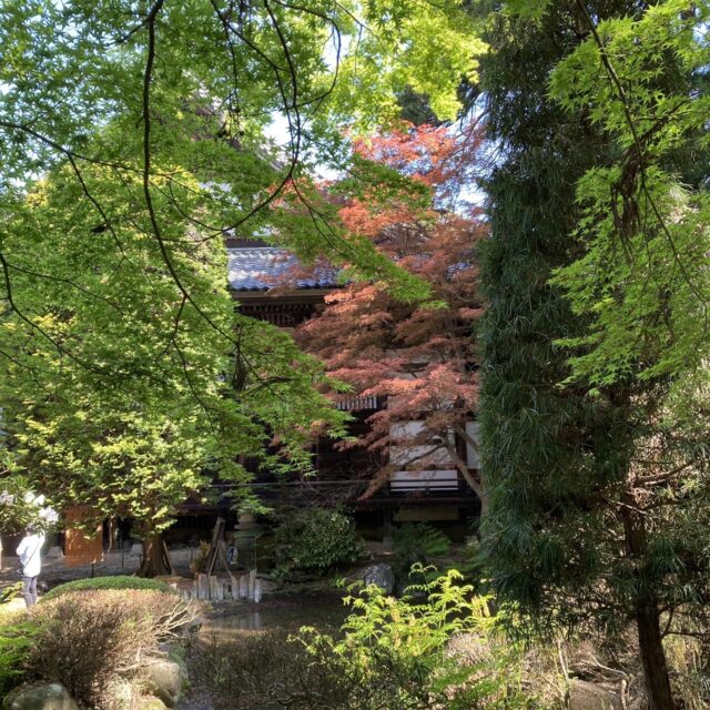 第19回 境内アート小布施×苗市 2024