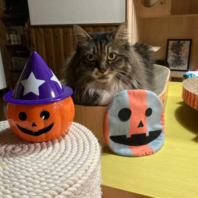 ハロウィン