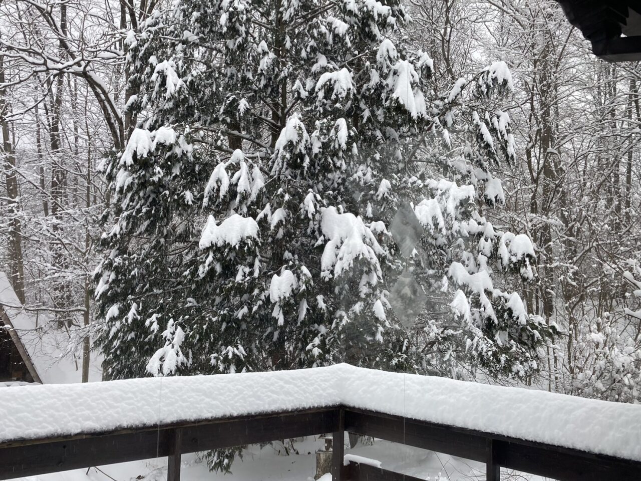 積雪＆除雪